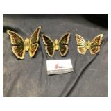 Copper butter butterflies