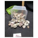 Tote of seashells