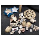 Seashells