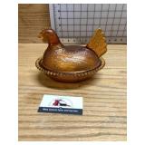 Amber hen on the nest