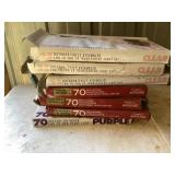 Holiday lights, clear, pearl, and purple