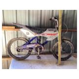 Mini Moto racing bike