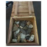 Wood Box with Shell and Rock Treasures