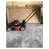 Toro push mower 20 in