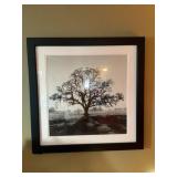 27 in x 27 in Framed cattle print