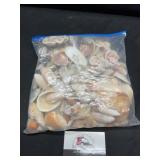 Bag of sea Shells
