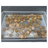 1 pound Indian head pennies