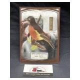 Anita, IA advertising