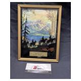 Anita Oil advertising