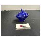 Cobalt blue bird on nest