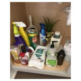 Cleaning supplies and misc decor