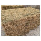 3rd Cutting Alfalfa 2025