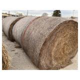 1st Cutting 2025 Alfalfa