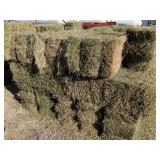 4th Cutting Alfalfa 2025