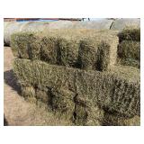 4th Cutting Alfalfa 2025