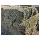 4th Cutting  Alfalfa 2025