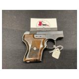 Smith & Wesson Model 61 Escort    .22
