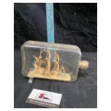 Ship in a bottle