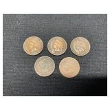 5 Indian Head Pennies