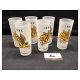 Frosted Hawkeye glasses