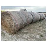 2025 1st Cutting Alfalfa