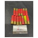 20 Gauge shells