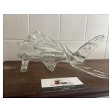 Glass Fish