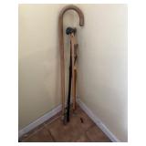 Canes and back scratcher