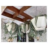 Artificial flowers and hanging pots