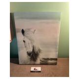 Horse head canvas