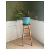 Plant and stool