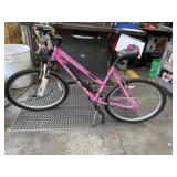 FUJI bicycle