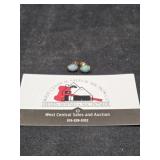 Earrings Marked 10 G 14K