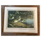 Quiet Pool Wood ducks by James Hautman