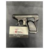 Sterling Semi Auto .22