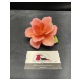 Napoleon Italy flower