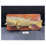 Mounted taxidermy fish