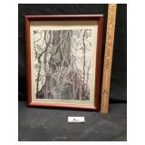 Signed, print, strangler, fig with palm