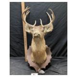 Deermount