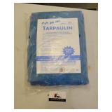 Tarp