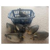 Decoys