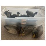 Plastic Duck Decoys