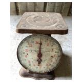 Scale