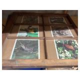 Framed wildlife decor