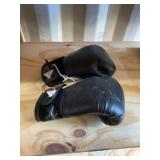 Century Boxing Gloves