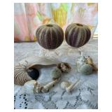 Shell art