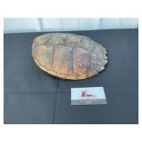 Tortoise shell