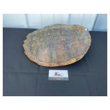 Tortoise shell