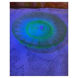 Uranium plates
