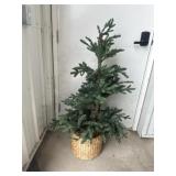 4 ft Tree in basket